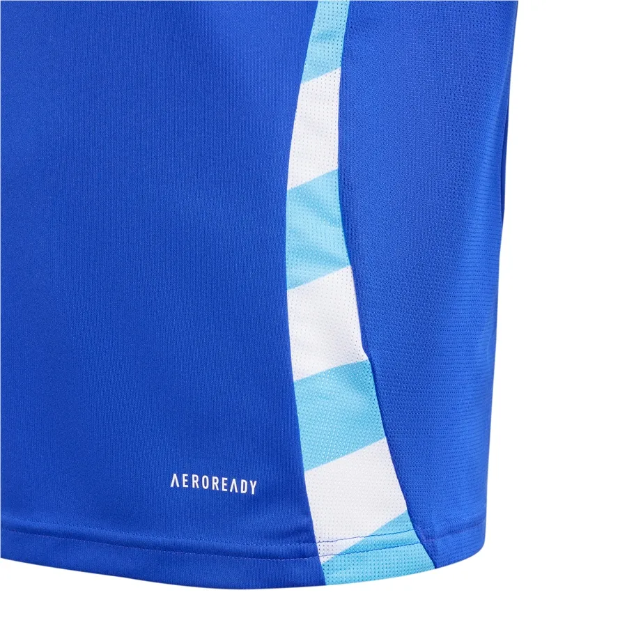 Imagen 2 de 5 de Camiseta adidas Afa Alternativa 24-AZUL/CELESTE