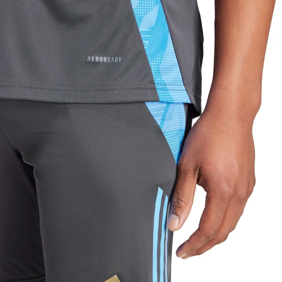 Imagen 5 de 6 de Camiseta adidas De Entrenamiento Afa 24-GRIS/CELESTE/DORADO