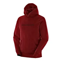 Buzo Salomon Polar Lt Hoodie