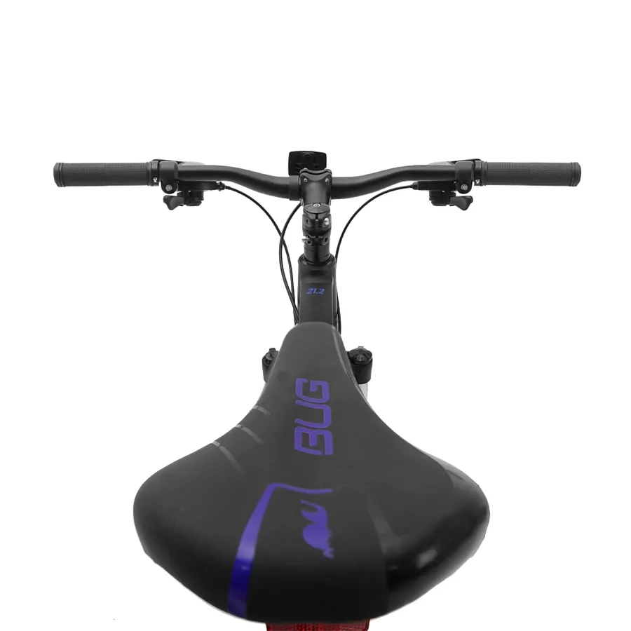 Imagen 1 de 5 de Bicicleta Bug Bikes Mountain R29 21V-NEGRO/AZUL