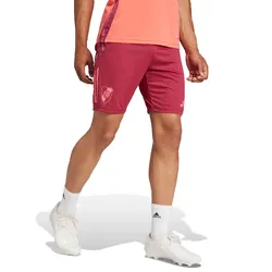 Shorts adidas de Entrenamiento River Plate 24/25
