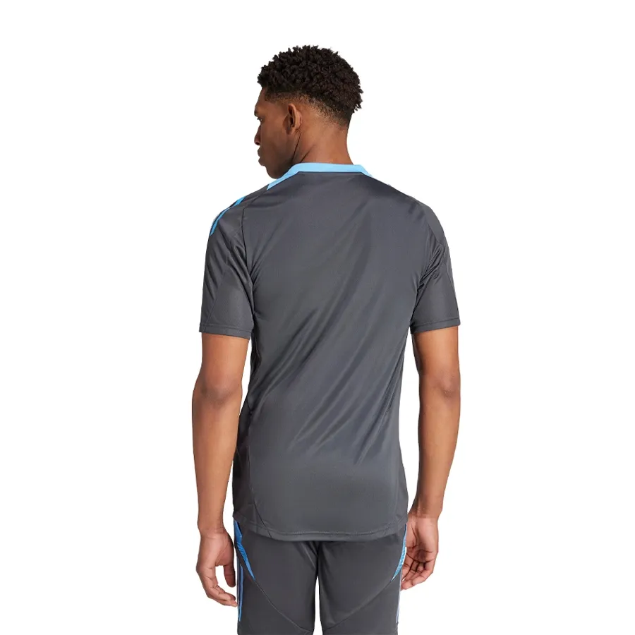 Imagen 3 de 6 de Camiseta adidas De Entrenamiento Afa 24-GRIS/CELESTE/DORADO