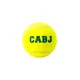 pelota-wilson-boca-juniors-AMARILLO/AZUL