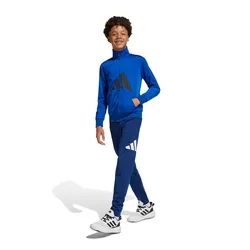 Conjunto adidas Essentials