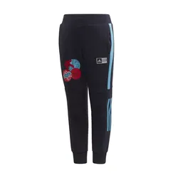 Pantalón adidas Hombre Araña Pierna Cónica