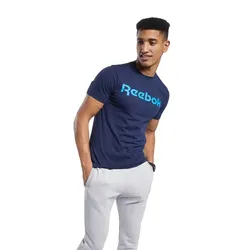 Remera Reebok Gs  Linear Re Vecnav