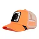 gorra-goorin-bros-baseball-the-panther-CORAL/NEGRO