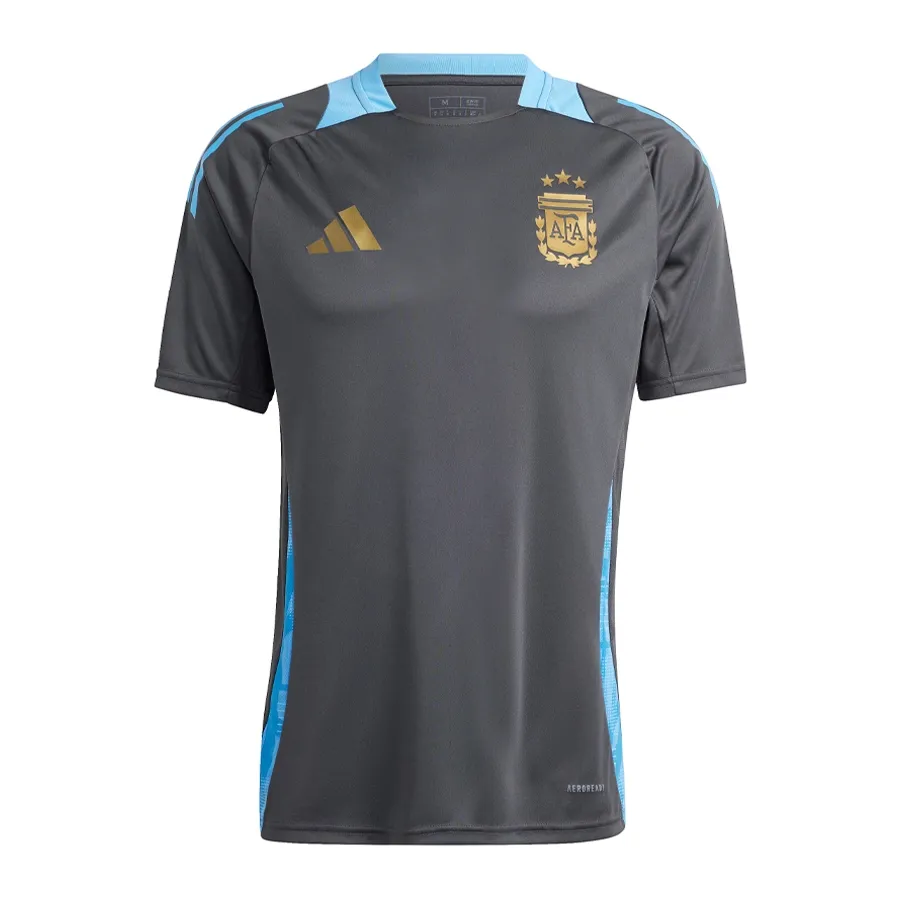 Imagen 2 de 6 de Camiseta adidas De Entrenamiento Afa 24-GRIS/CELESTE/DORADO