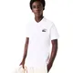 remera-lacoste-chemise-col-bord-BLANCO