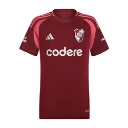 Camiseta adidas Alternativa River Plate 24/25