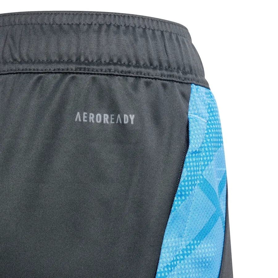 Imagen 2 de 5 de Shorts adidas Short  Selección Argentina Entrenamiento-GRAFITO/CELESTE