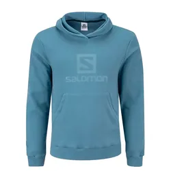 Buzo Salomon Polar Lt Hoodie