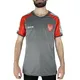 remera-mitre-stricker-san-martin-mza-GRIS/ROJO/BLANCO