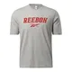 remera-reebok-classics-linear-GRIS