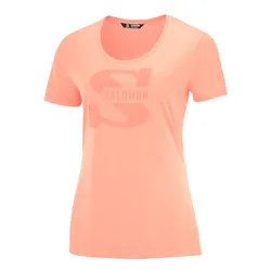 Remera Salomon Ss