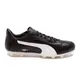 botines-puma-borussia-c-fg-adp-NEGRO/BLANCO