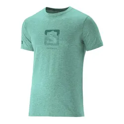 Remera Salomon Logo Ss VI