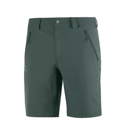 Shorts Salomon Wayfarer Lt  M