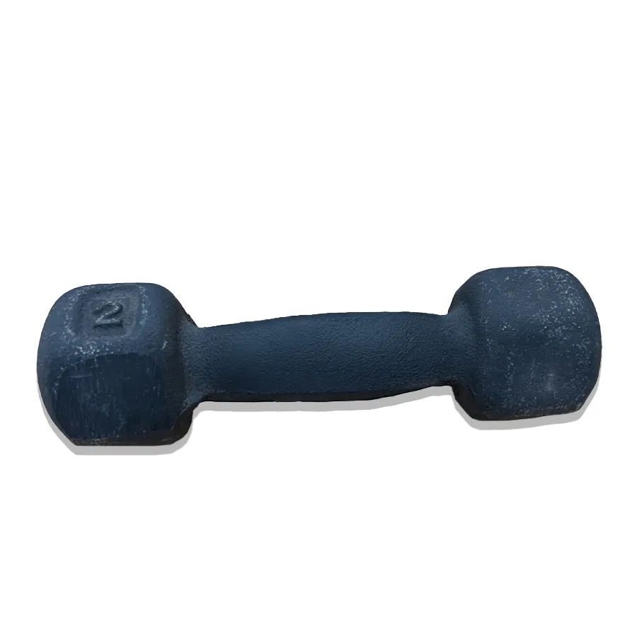 Imagen 1 de 3 de Mancuerna 2Kg Kamp-NEGRO