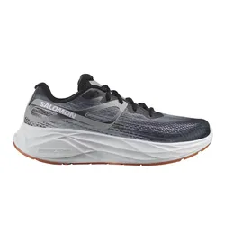 Zapatillas Salomon Aero Glide