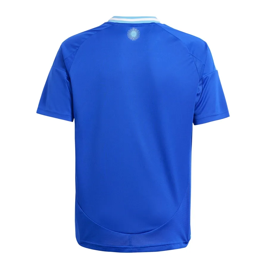 Imagen 1 de 5 de Camiseta adidas Afa Alternativa 24-AZUL/CELESTE