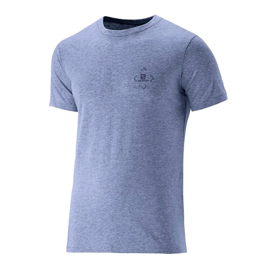 Imagen 0 de 1 de Remera Salomon Cotton Ss-AZUL
