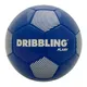 pelota-drb-flash-n5-AZUL