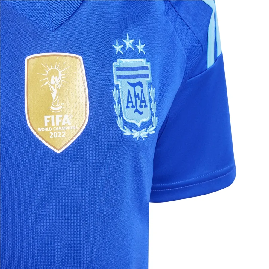 Imagen 3 de 5 de Camiseta adidas Afa Alternativa 24-AZUL/CELESTE