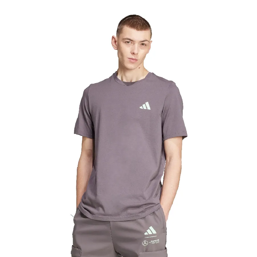 Imagen 0 de 5 de Remera adidas Mercedes - AMG Petronas Formula One Team-GRIS