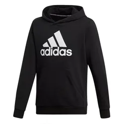 Buzo Con Capucha adidas Future Icons