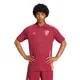 remera-adidas-chomba-river-plate-24-25-BORDO