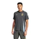 remera-adidas-argentina-24-GRIS/CELESTE