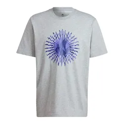 Remera adidas Afa Ls